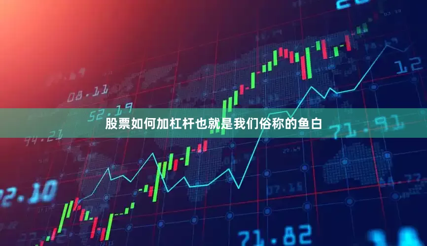 股票如何加杠杆也就是我们俗称的鱼白