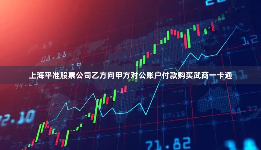 上海平准股票公司乙方向甲方对公账户付款购买武商一卡通