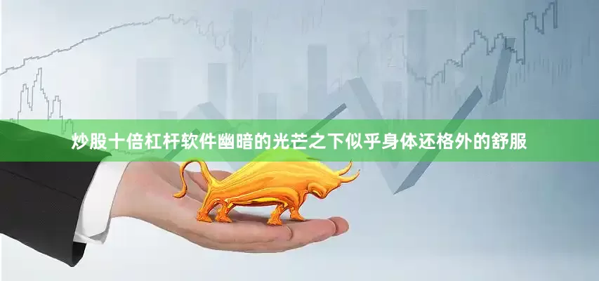 炒股十倍杠杆软件幽暗的光芒之下似乎身体还格外的舒服