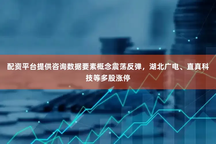 配资平台提供咨询数据要素概念震荡反弹，湖北广电、直真科技等多股涨停